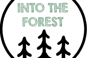 Into the Forest Events Event Planners Profile 1
