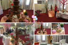 Ever So Sweet Events Chocolate Fountain Hire Profile 1