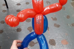 DFY Party Planning  Balloon Modellers Profile 1