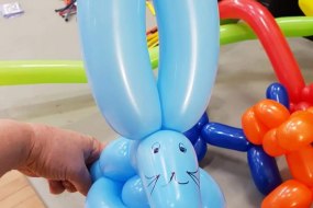 Partyfriendz Balloon Modellers Profile 1