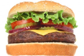 Food Lovers Delight Burger Van Hire Profile 1
