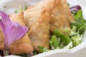 Yasmins Samosas Private Party Catering Profile 1