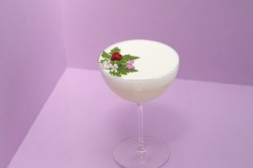 Perfect Cocktails at your event