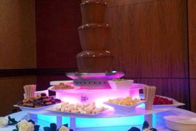 Special Events Ltd. Surrey Chocolate Fountain Hire Profile 1