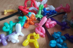 Harry's Balloon Modelling