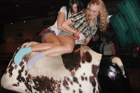 Station Entertainment Rodeo Bull Hire Profile 1