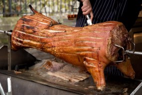 1st Choice Hog Roast