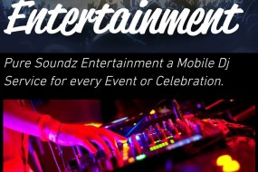 Pure Soundz Entertainment Lighting Hire Profile 1