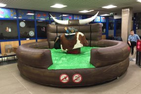 A1 bouncy castle hire Rodeo Bull Hire Profile 1