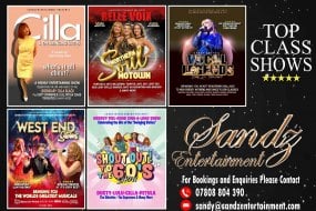 Sandy Smith - Outstanding Female Vocalist Party
Entertainers Profile 1