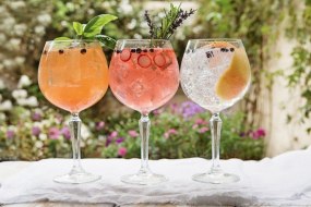 Best at Bars Mobile Gin Bar Hire Profile 1