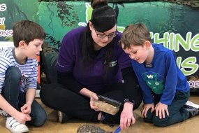 Teaching Talons (The Animal Ambassadors) Animal Parties Profile 1
