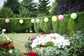 Ace Balloons and Events Cake Makers Profile 1