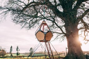 Treetop Co. Glamping Tent Hire Profile 1