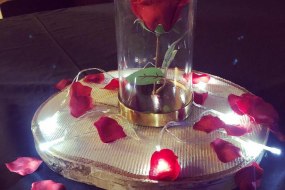 Blossoms Venue Decorations Decorations Profile 1