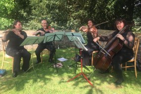 The Bay Quartet Classical Musician Hire Profile 1