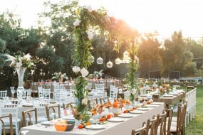 Spicenspirits Event
Catering Profile 1