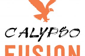 Calypso Fusion ltd Dinner Party Catering Profile 1