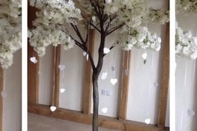 Blossom Trees - Available for hire