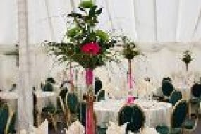 The Flower Box Chair Cover Hire Profile 1