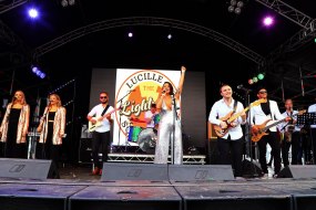 Lucille & the lightning soul train Wedding Band Hire Profile 1