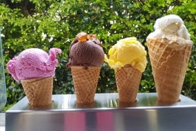 Abbyo's Ice Cream Van Street Food Catering Profile 1