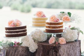 Spongetastic Cakes Cake Makers Profile 1