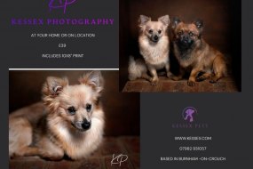 Kessex Photography Hire a Photographer Profile 1