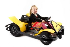 North Wales Kids Karts Children's Party Entertainers Profile 1