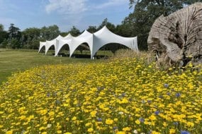 Godney marquees Glamping Tent Hire Profile 1
