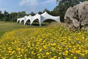 Godney marquees  Furniture Hire Profile 1