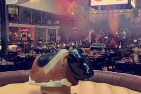 Check out one of our fantastic Rodeo Bull set up at Merchant Square in Glasgow!