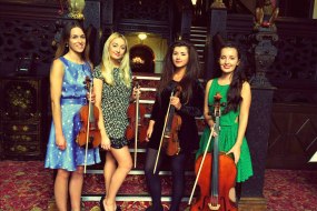 Music Students for Hire  String Quartet Hire Profile 1