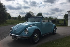 Winchester Wedding Bug Transport Hire Profile 1