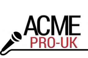ACME-PRO.UK Alternative Bands Profile 1