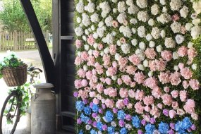 Mimi and Lu  Flower Wall Hire Profile 1