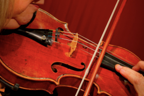 Haysden Strings, Quartet, Trio, Duo String Quartet Hire Profile 1