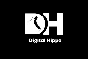 Digital Hippo Drone Hire Profile 1