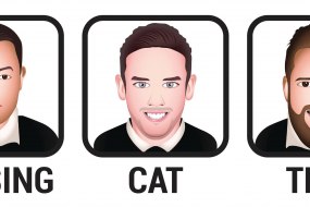 The Missing Cat Trio