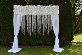 Cristalline Backdrop