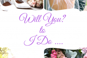 Will You? to I Do .... Wedding Planner Hire Profile 1