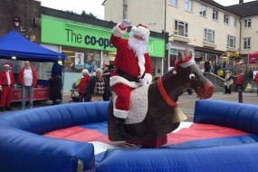 Fun-Tasia Rodeo Reindeer Hire Profile 1