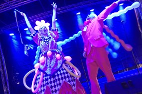 Fancy Entertainment Ltd. Party
Entertainers Profile 1