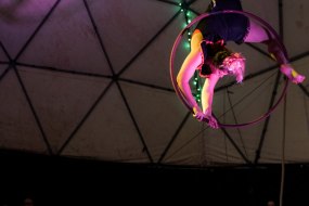 YardArts Circus Entertainment Profile 1