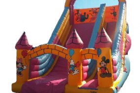 Bungeestar Inflatable Slide Hire Profile 1