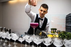 Cocktailtime Hire Waiting Staff Profile 1