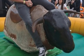 Paramount Parties and |Events Rodeo Bull Hire Profile 1