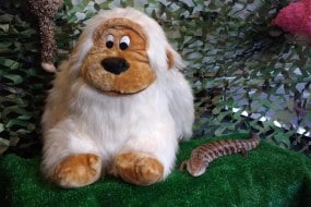 Lion Learners East Midlands Animal Parties Profile 1