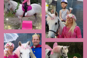 Unicorn Hire Pony Parties Profile 1