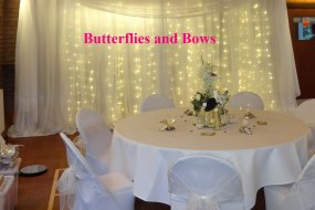 Butterflies and Bows Princess Parties Profile 1